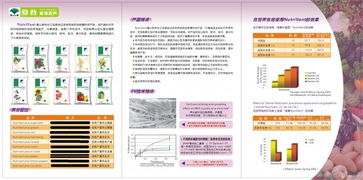 以色列化工集團(tuán)（ICL）產(chǎn)品市場(chǎng)營銷策劃 以創(chuàng)新與可持續(xù)發(fā)展驅(qū)動(dòng)增長